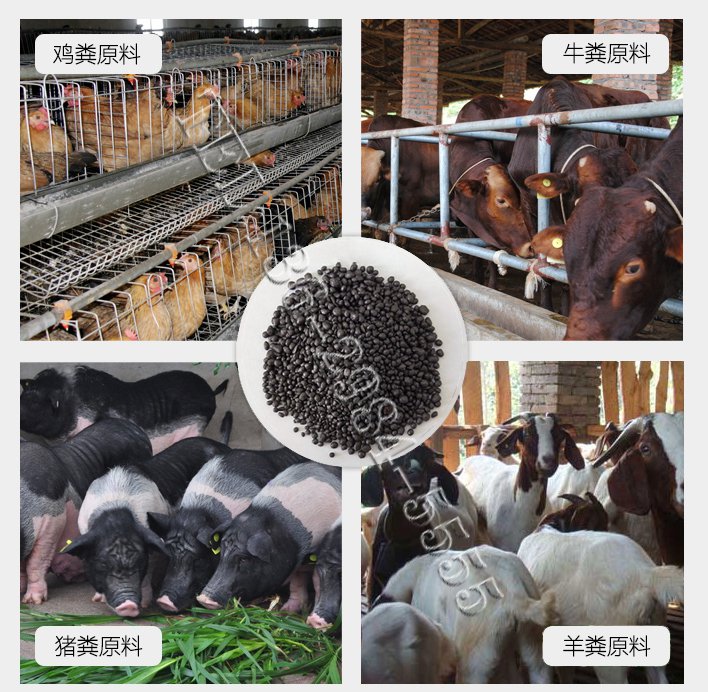 有機(jī)肥生產(chǎn)